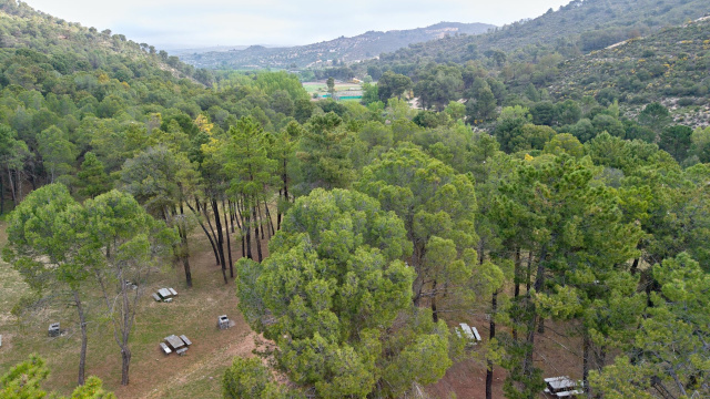 Fornes – Jayena por camino de Alabares y camino de la Garrapata