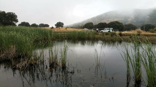 Laguna del Puerto de Santa María