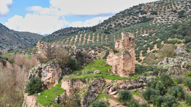 Castillo de Torre Pesquera