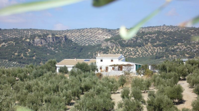 Las Navillas