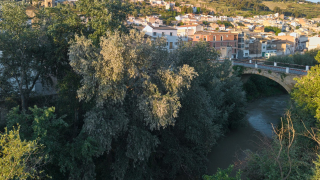 Puente del Gran Capitán