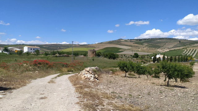 Torre de la Solana