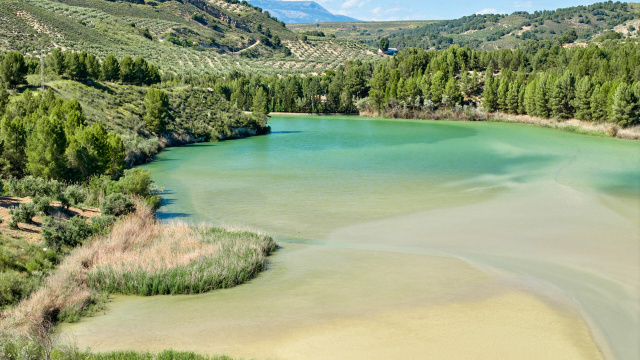 Contraembalse de Cacín