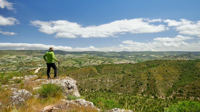 La Mesa de Fornes