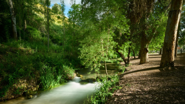 Nacimiento de Riofrío