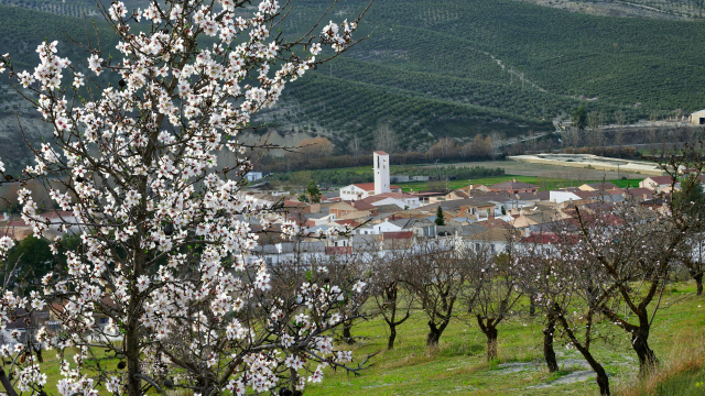 Acceso a Cacín desde la ruta Játar – Santa Cruz del Comercio