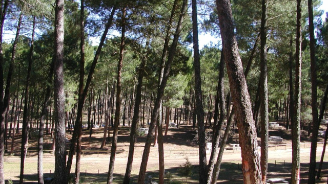 Área recreativa y de acampada El Robledal