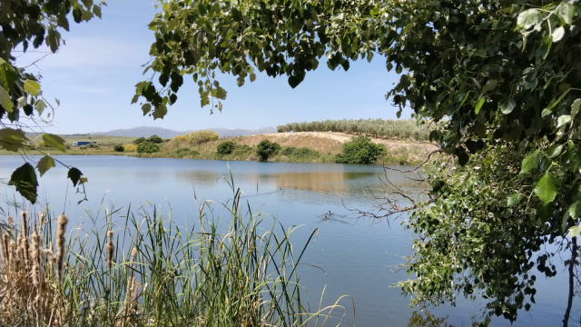 Laguna del Regidor