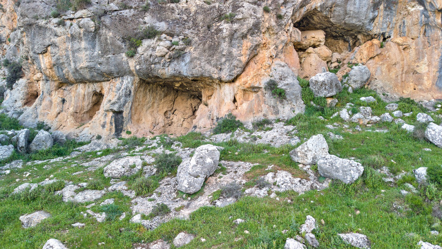 Cuevas de la Araña
