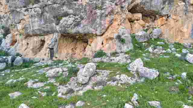 Cuevas de la Araña