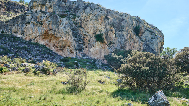 Abrigo del Cortijo de Pitar Alto