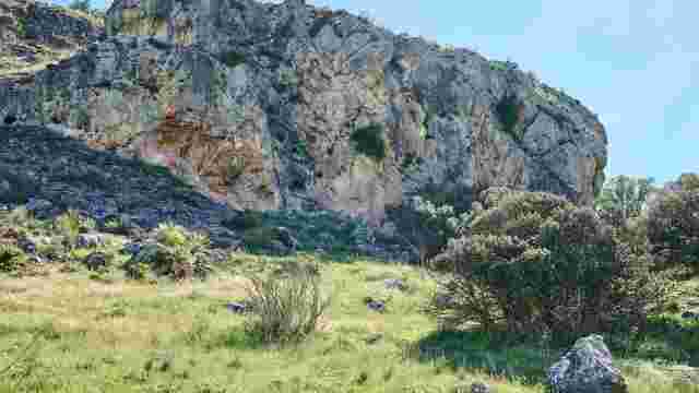 Abrigo del Cortijo de Pitar Alto