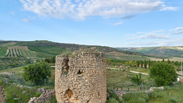 Torre de la Solana de Alhama